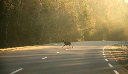 Featured blog