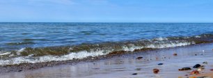 Featured blog