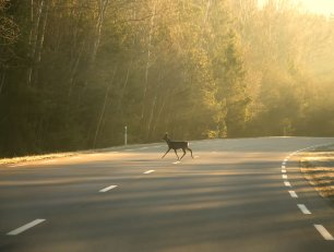 Featured blog