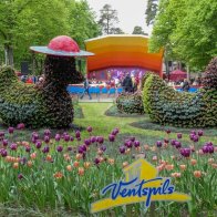 Event-Image