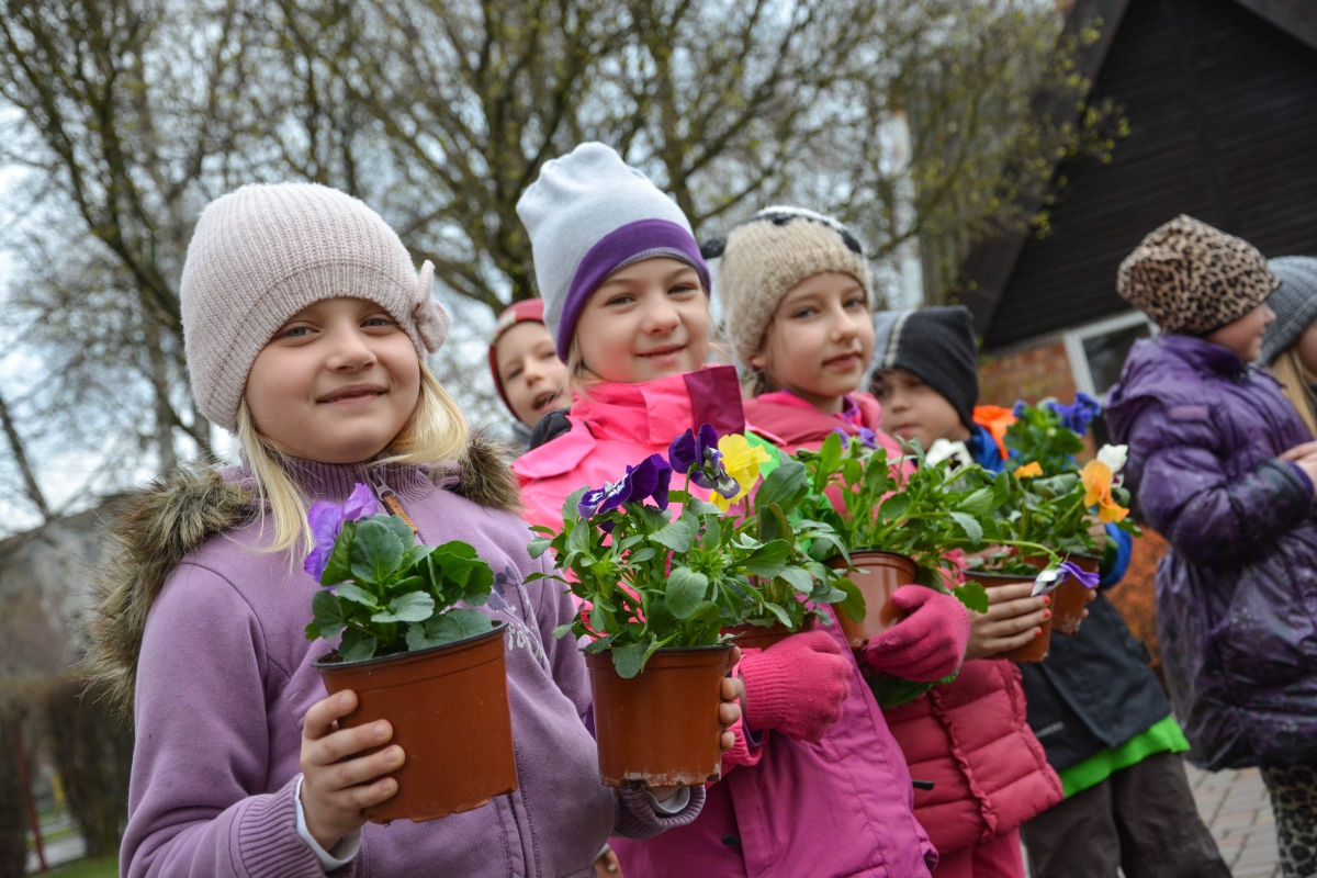 Дети вырастили цветы. Школьники сажают цветы. Дети садят цветы. Дети выращивают растения. Дети сажают цветы.