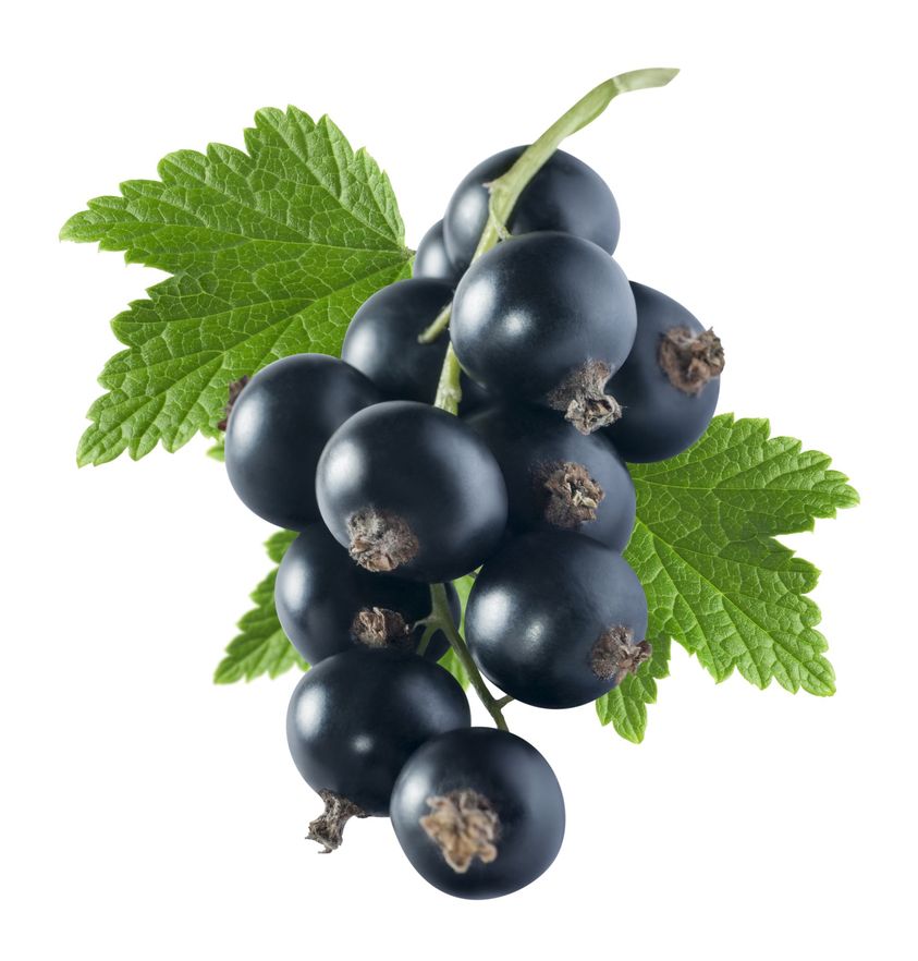 Advert image