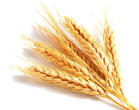 Advert image