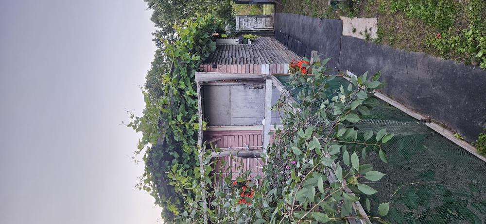 Advert image