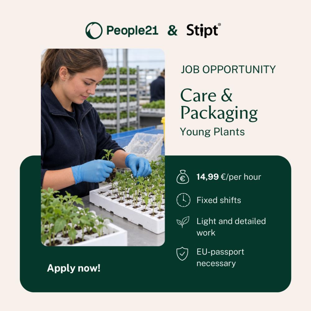 Advert image