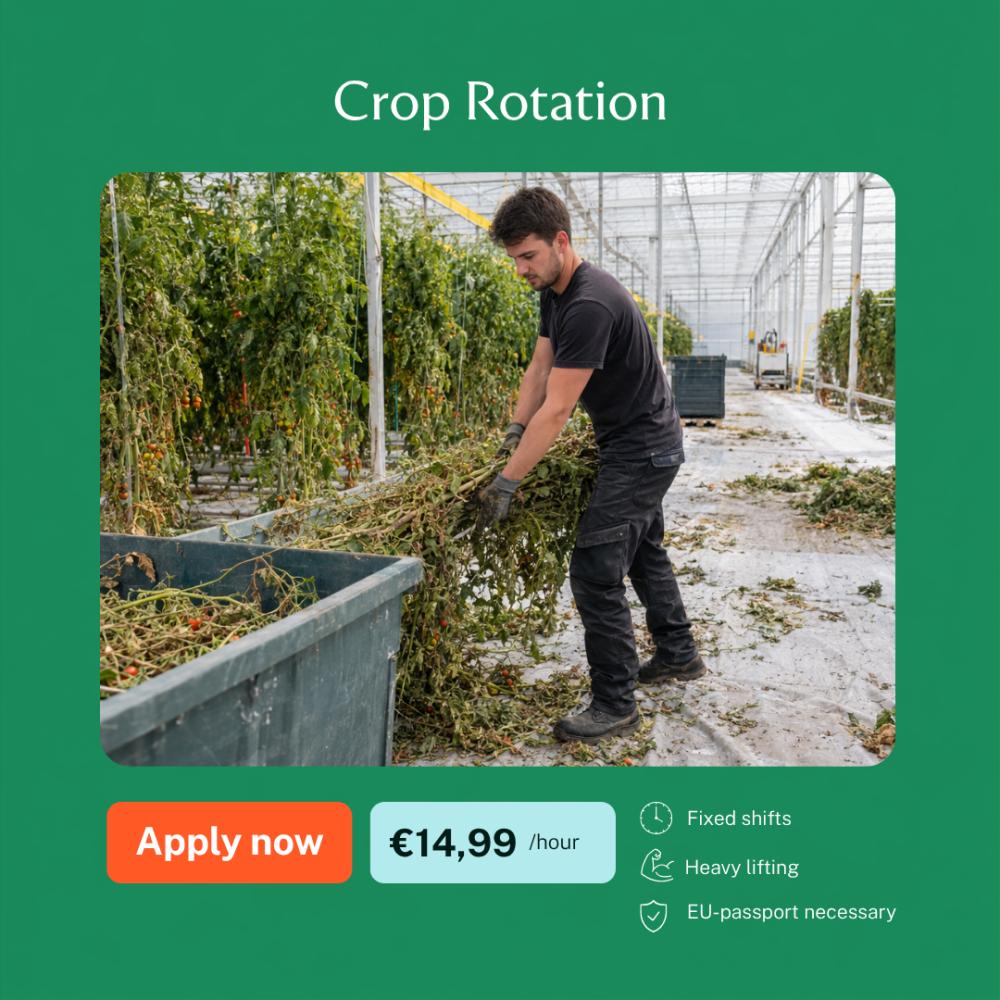 Advert image
