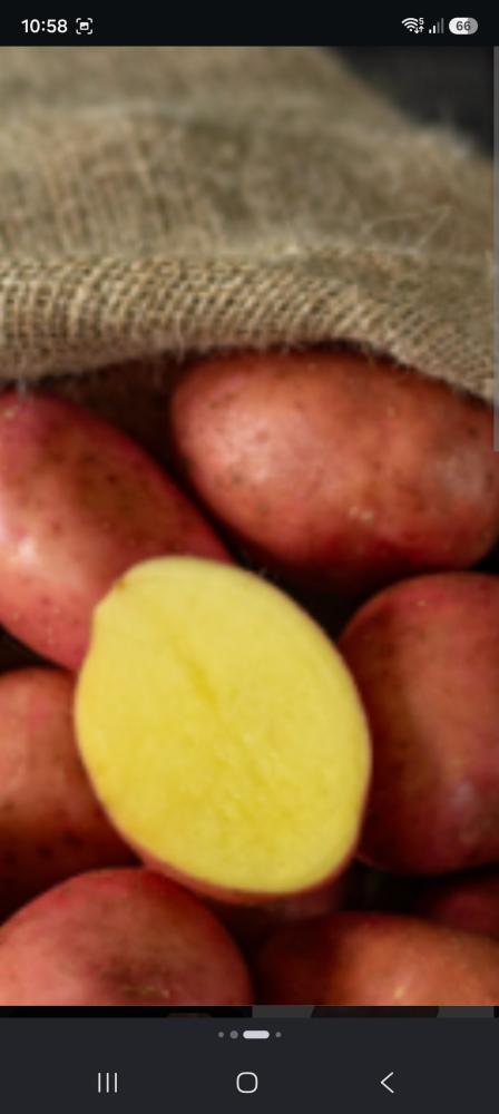 Advert image